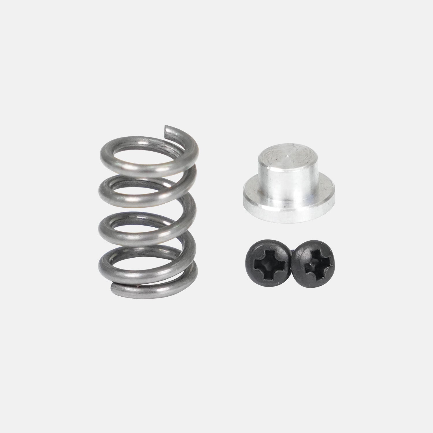 Screws & Spring Kit - M1
