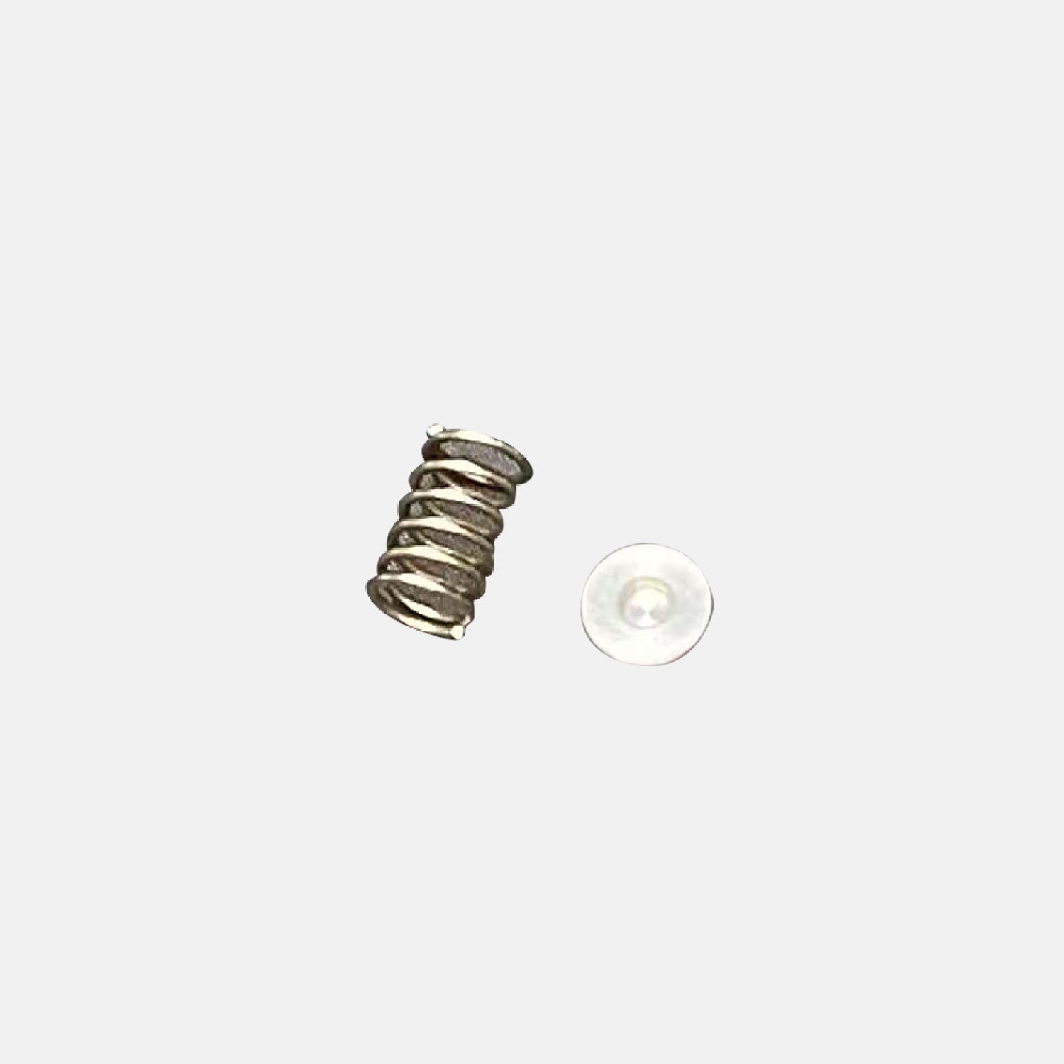 Extruder Spring + Mounting Bracket - M1
